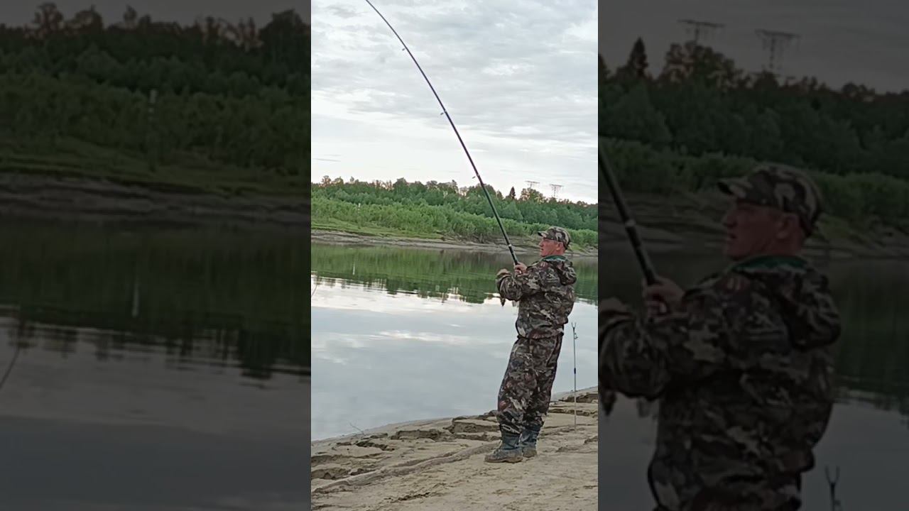 Подлещик на донку смотреть онлайн