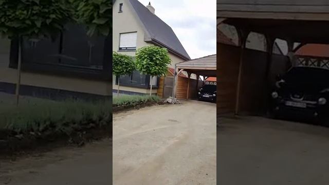 Это не генеральная репетиция. Это жизнь.
Не пропус смотреть онлайн
