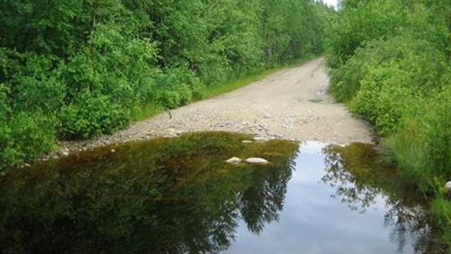Буктрейлер "Берестов В.Д." смотреть онлайн