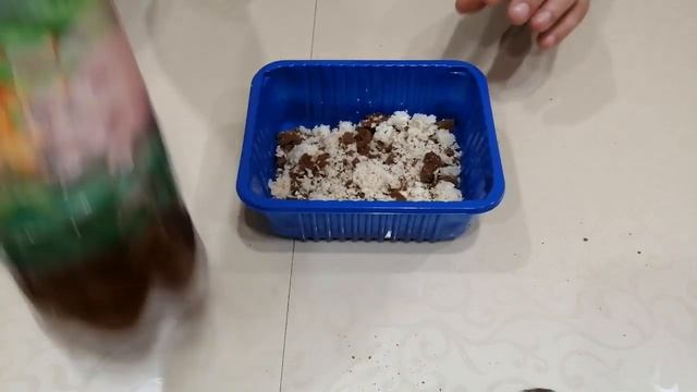 Универсальная насадка для рыбалки смотреть онлайн