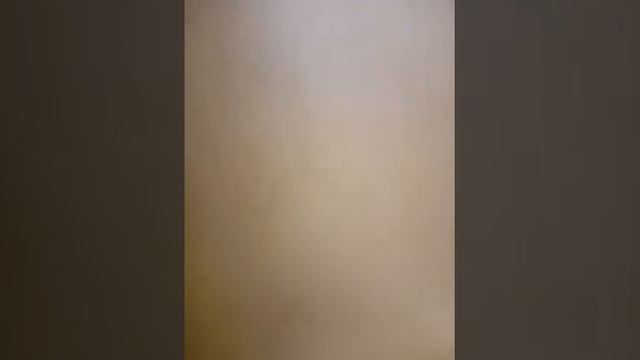 16 июня 2017 г.