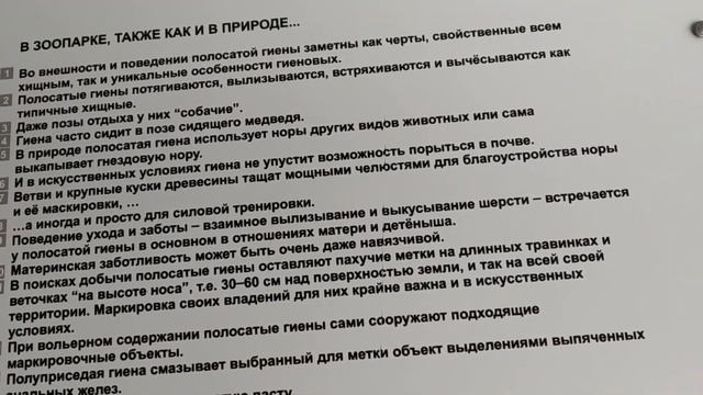 5 Животных (2020) смотреть онлайн