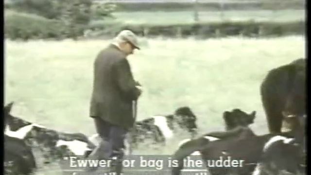 The Story Of English Program 2 The Mother Tongue Complete смотреть онлайн