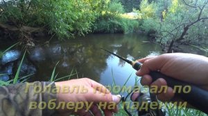 Ловля голавля на спиннинг на малой реке!