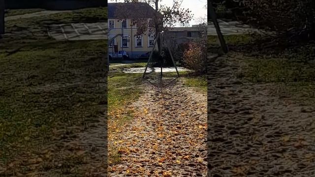 13/11/23 осень на детской площадке, солнечный день! катаемся на тарзанке смотреть онлайн