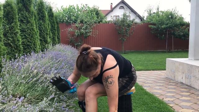 Творческий Путь к Саморазвитию