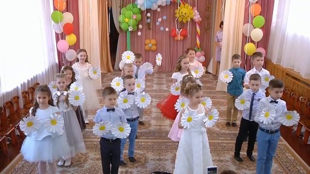 Ромашковое поле