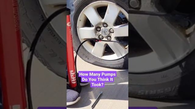 Bike Pump For A Flat Car Tire?