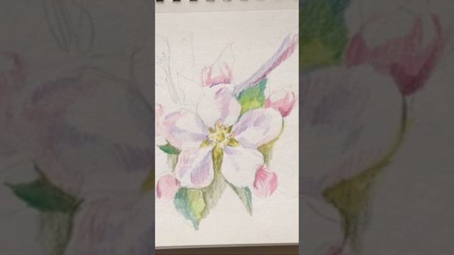 Рисуем вместе с художницей Наталкой Барвинок #рисование #рисованиеонлайн #урок_рисования смотреть онлайн