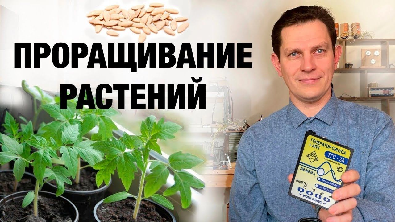 ТГС 3А! Проращивание растений и правильное Лечение кожных заболеваний при помощи Катушек Мишина!
