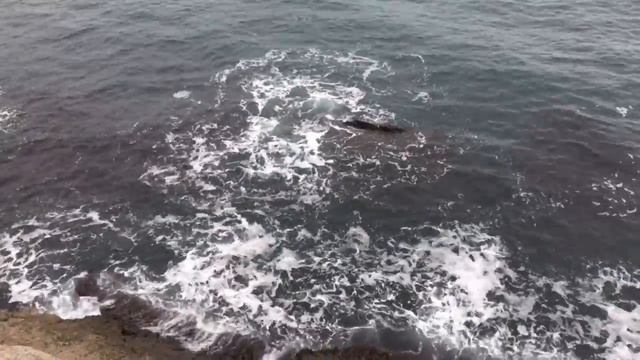 Крым, Море, Новый Свет 25.12.16. смотреть онлайн