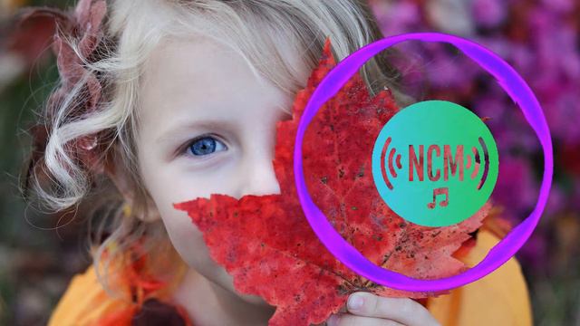 Poppin Off The Rip - Audio Library of Youtube - No Copyright Music смотреть онлайн