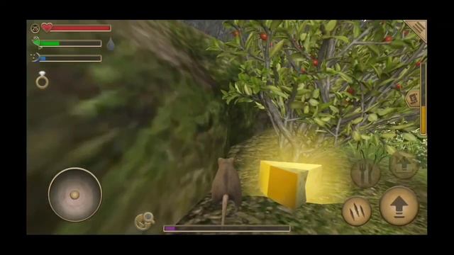 Где найти все золотые сыры в Mouse Simulator?