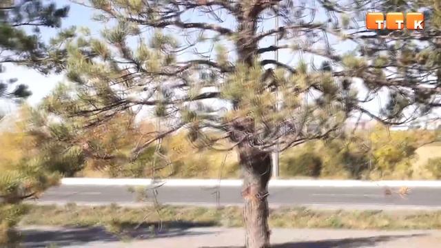 Почему пожелтели? смотреть онлайн