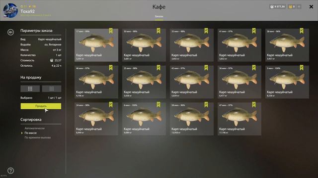 Янтарка ловим карпов! Без спода и пва. РР4 смотреть онлайн