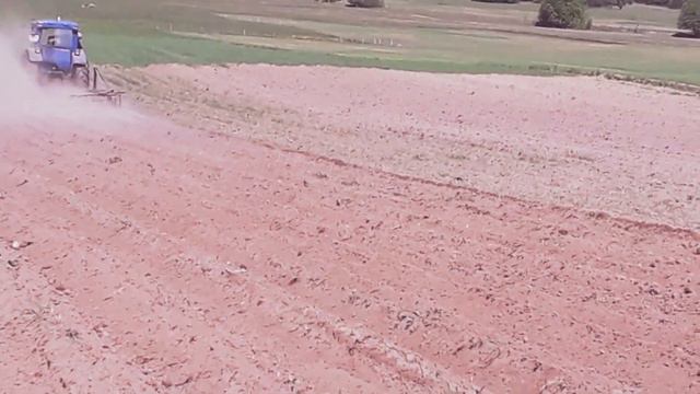 MT3 50 картофель акации. MTZ 50 Akėja Bulves .