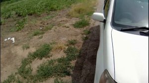 Обзор Тойота платц ! Плюсы, минусы и опыт владения.