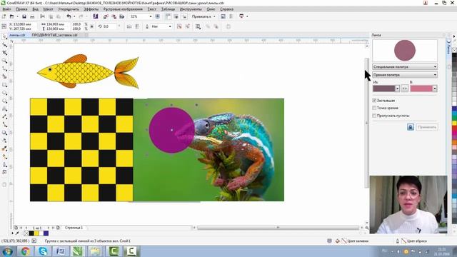ЭФФЕКТ ЛИНЗЫ. ТИПЫ ЛИНЗ. Corel DRAW смотреть онлайн