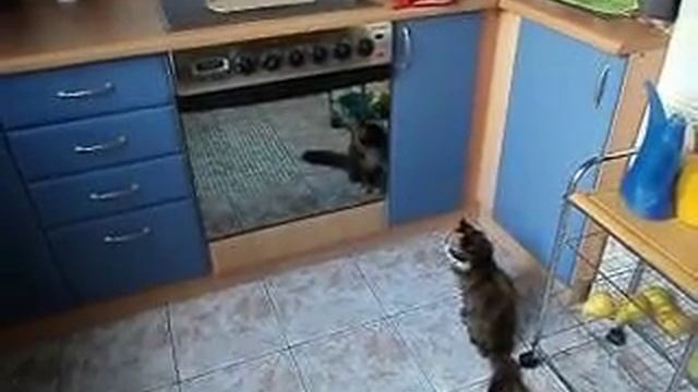 🐠🐟🐡 СТАРУШКА И РЫБКА. OLD CAT AND THE FISH смотреть онлайн