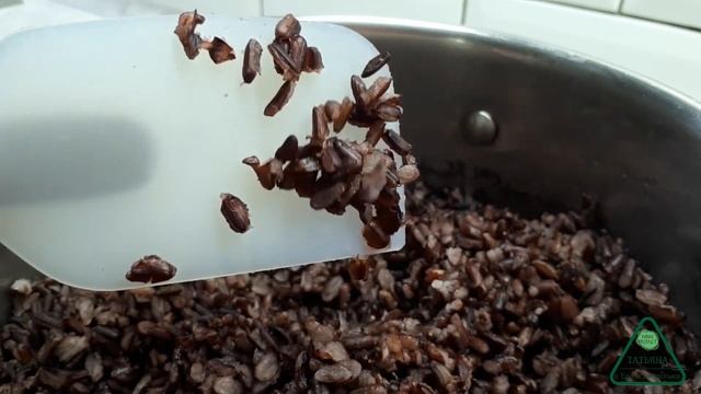 Исторические Открытия