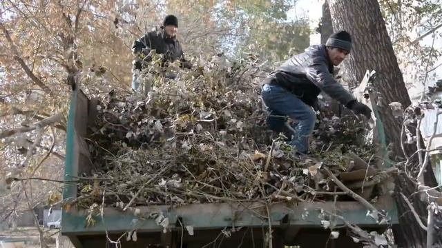 Уголовная ответственность за управление транспортными средствами в состоянии опьянения (ст. 264.1)