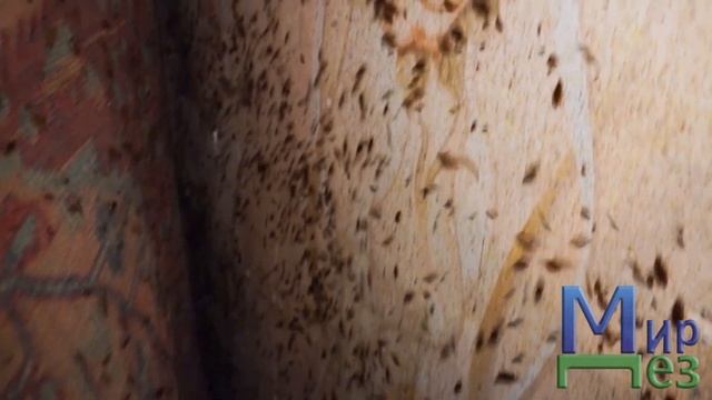 Конструктор Мечты