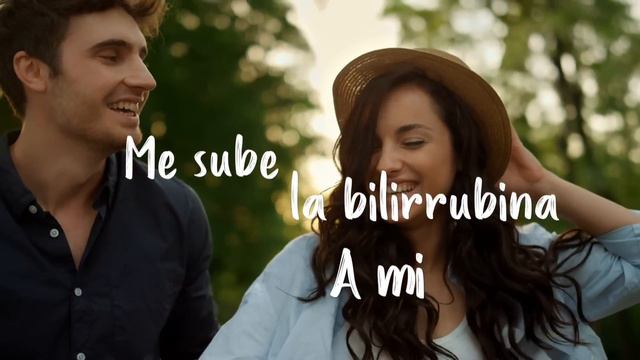 Juan Luis Guerra 4.40 - La Bilirrubina (Video Oficial Con Letra)