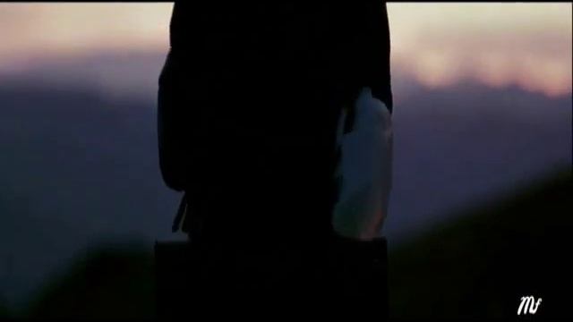 Rooftops   в диких условиях