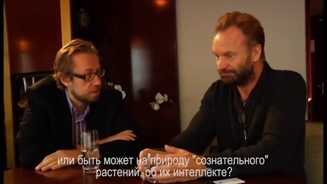 Стинг - о своем опыте Ayahuasca