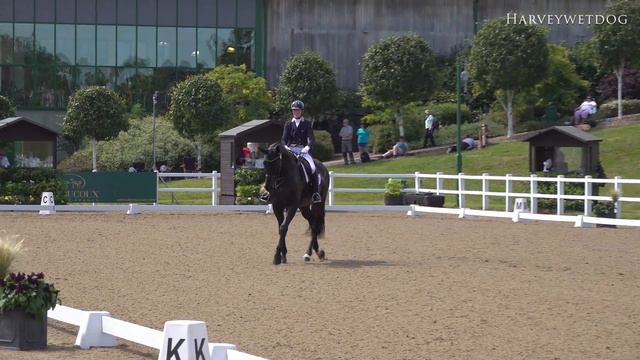 Louise Davison and De Galles; Hartpury Festival of Dressage 2019 смотреть онлайн