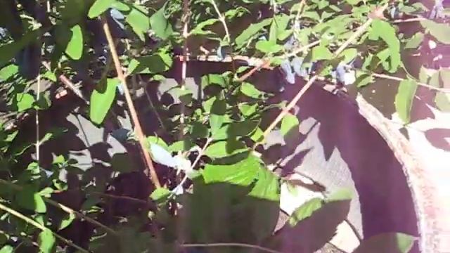 Строительные Загадки