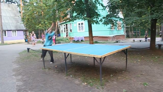 "Чайка" 2013 смотреть онлайн