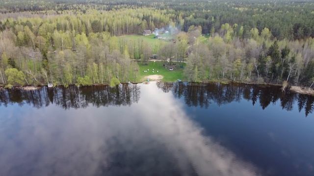 Беларусь, озера и виды Налибокской пущи. Belarus, lakes. смотреть онлайн