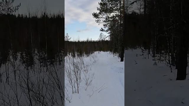 Длинный буран по целине идёт на раз два ?
