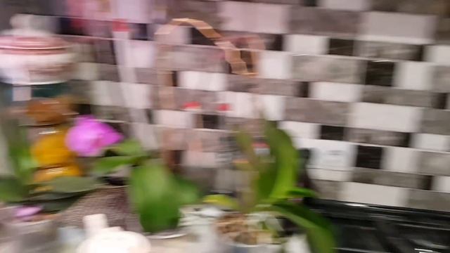 ПОМЕШАНЫЕ НА ЧИСТОТЕ..У СЕСТРЫ ШОК от моей Квартиры смотреть онлайн