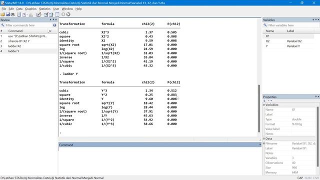 ⚠️ STATA: MENGATASI DATA BERDISTRIBUSI TIDAK NORMAL MENJADI NORMAL смотреть онлайн