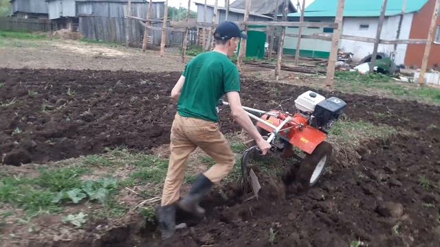 Открытие сезона 2020 вспашка огорода мотоблоком BRAIT BR-135GC с конным плугом. смотреть онлайн