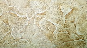 Стена «мазанка» из штукатурки Malta с цветным лессирующим лаком Masco Matte. Мастер-класс