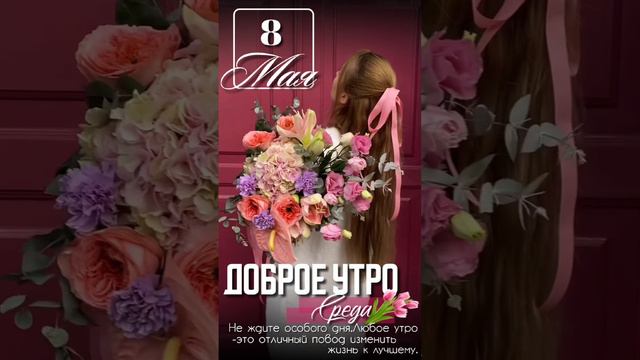 Доброе утро среда смотреть онлайн