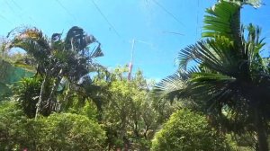 Вьетнам. Нячанг , Остров Орхидей.Что посмотреть на острове.