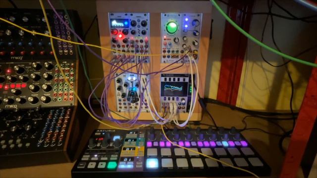 DanT - Synth Jam - Swamp Bamboo смотреть онлайн