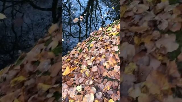 Парк Софиевка Золотая осень. Умань смотреть онлайн