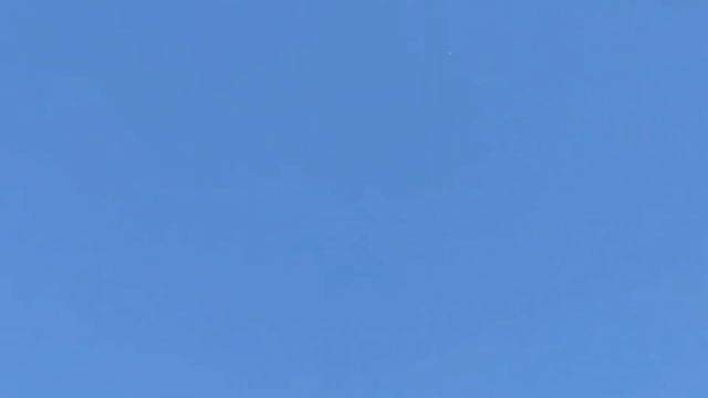 Чистокровные Исфаханские бойные голуби, Иран | Iranian highflyer pigeons | کبوترهای اصفهان смотреть онлайн