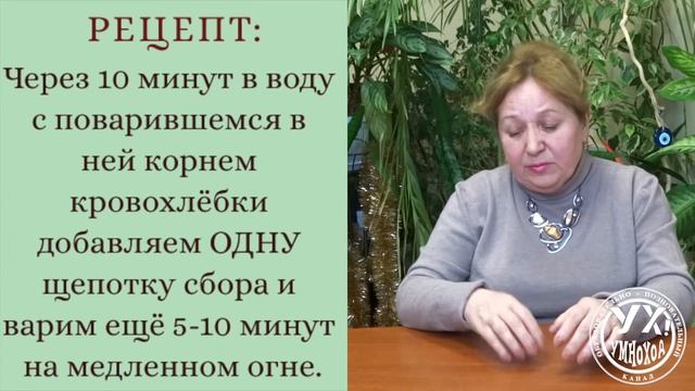 РЕЦЕПТ ОТВАРА ИЗ КРОВОХЛЕБКИ ОТ БОЛЕЗНЕННЫХ МЕСЯЧНЫХ смотреть онлайн