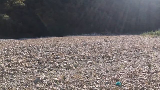 Художественный свист.Лазаревское2020 смотреть онлайн