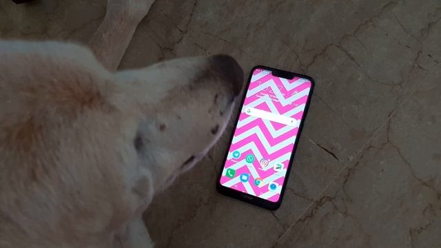 Honor 8C (Хонор 8С): обзор, характеристики, цена смотреть онлайн