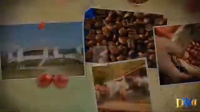 REEL DWD 01 смотреть онлайн