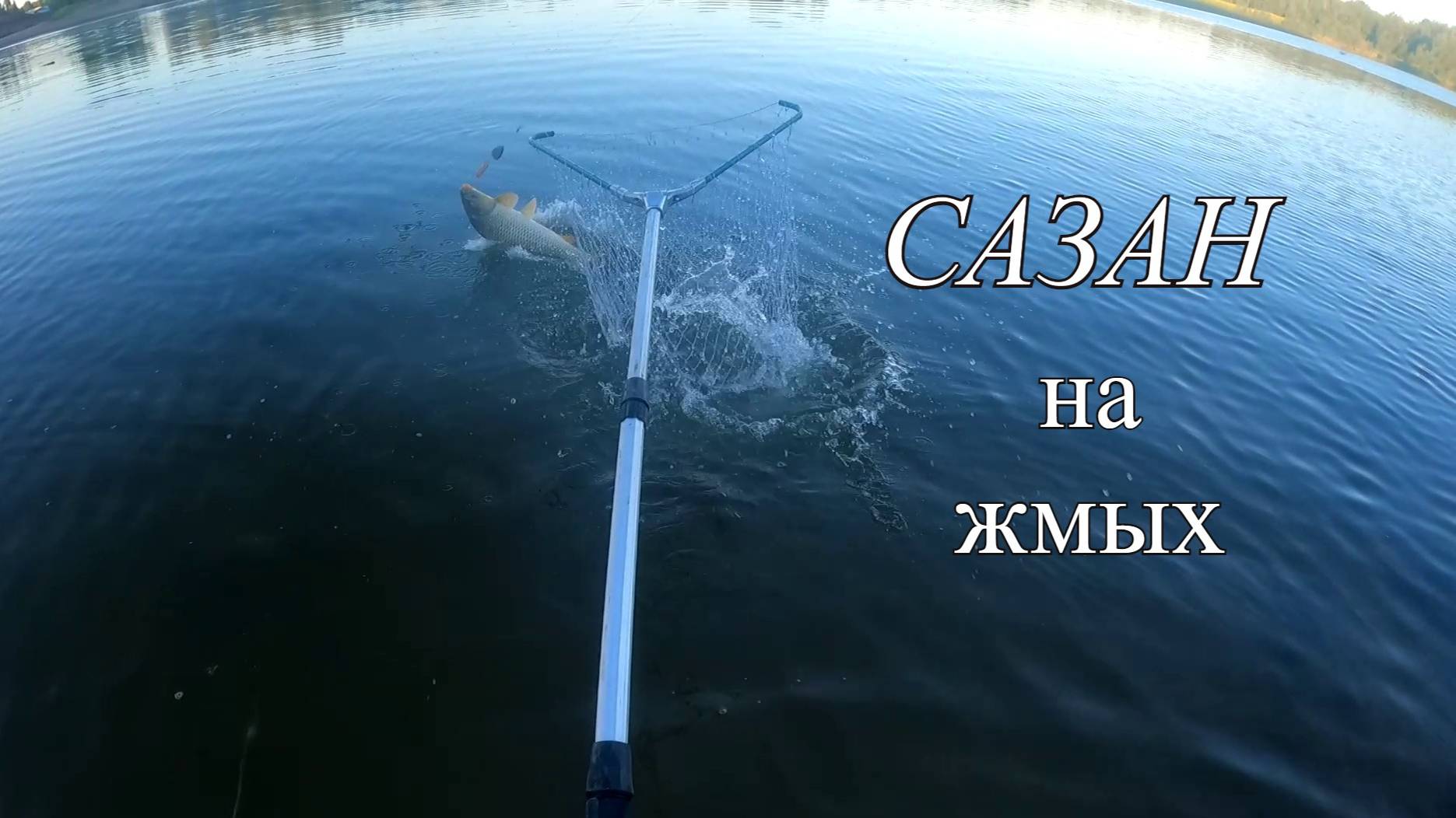 Поймал сазанчика смотреть онлайн