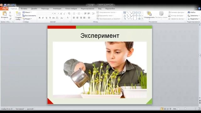 ОГЭ по биологии 9 класс. Занятие 1. Биология-наука о живом. Методы биологии. смотреть онлайн