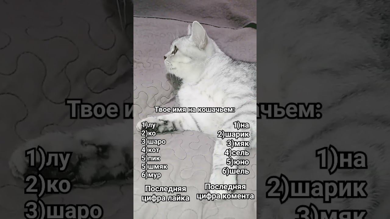 #shorts #sounds #recommended #4k #4kvideo #беззвука #интересно #2024 #нг #имялуна #games #proof смотреть онлайн